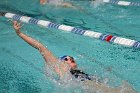 Swim vs Bentley  Wheaton College Swimming & Diving vs Bentley University. - Photo by Keith Nordstrom : Wheaton, Swimming & Diving